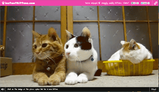 キュン死必至 ねこのアニメーションgifを次から次に見ることができるサイト Instant Kittens Techmemo