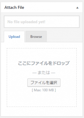「Attach File」でダウンロード用のファイルをアップロードします